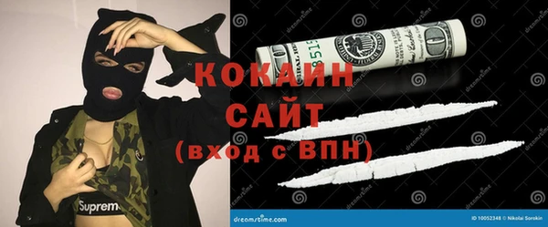 дживик Белокуриха