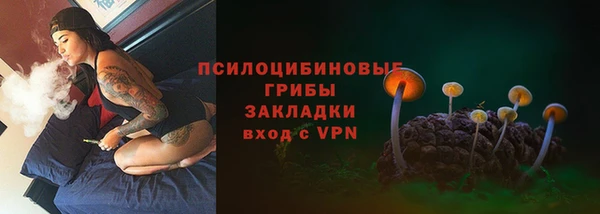 дживик Белокуриха