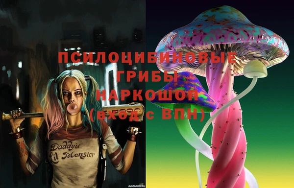 дживик Белокуриха